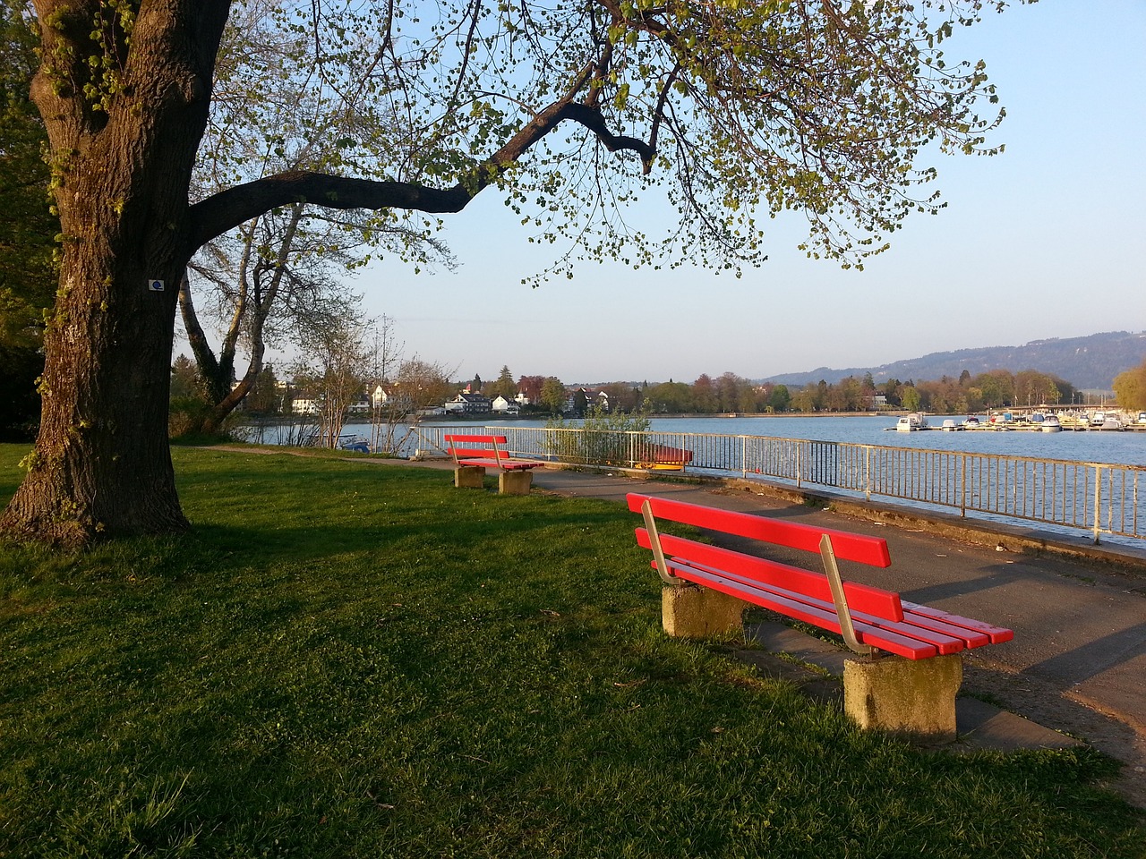 的關鍵拼圖 的關鍵拼圖
