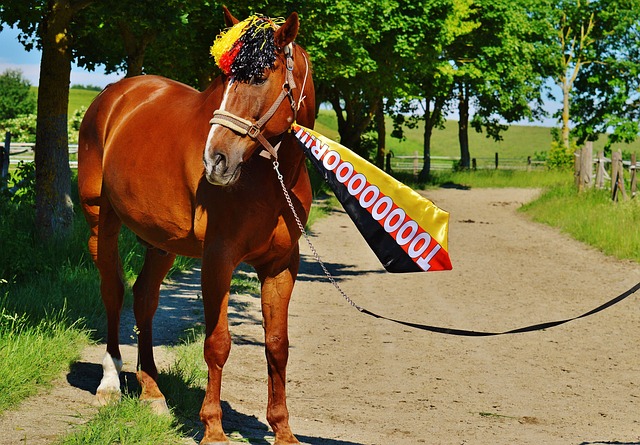 争力的价格 争力的价格