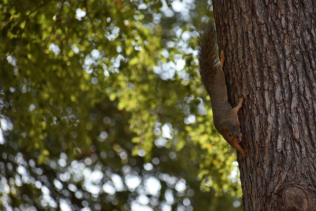 5的全面数 5的全面数