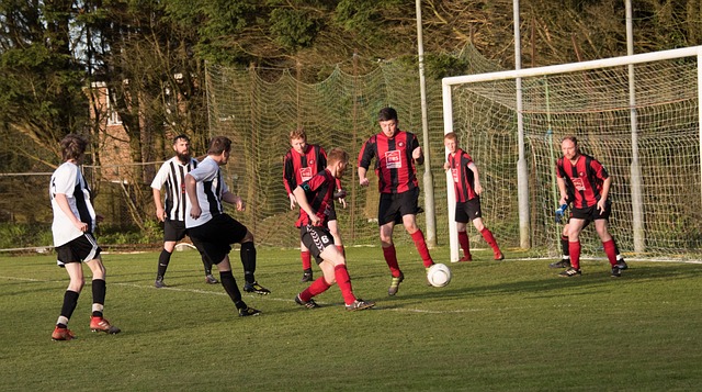 也揭示了猛 也揭示了猛